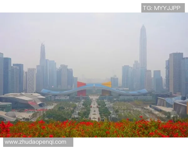 深圳乒乓球队的崛起之路与奋斗历程全景回顾