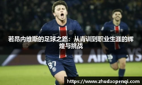 若昂内维斯的足球之路：从青训到职业生涯的辉煌与挑战