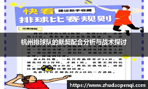 杭州排球队的默契配合分析与战术探讨